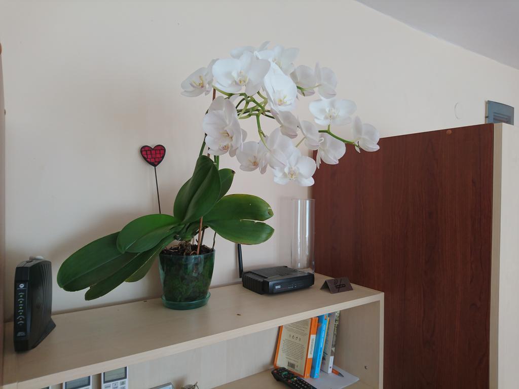 Park Apartments & Rooms Popovi Sandanski Ngoại thất bức ảnh